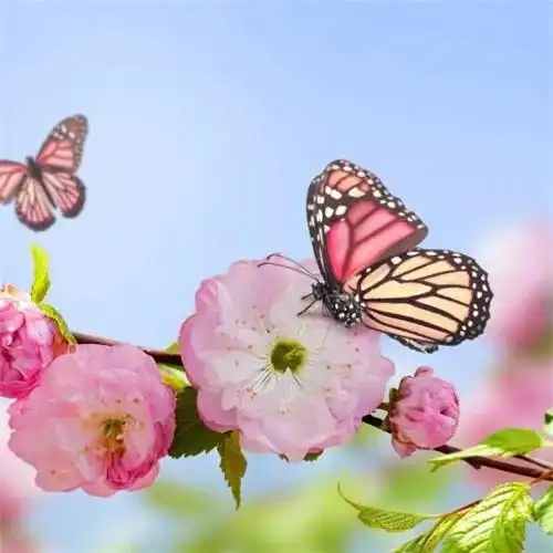 美丽鲜花头像图片大全 高清好看的唯美意境花朵微信头像_植物头像