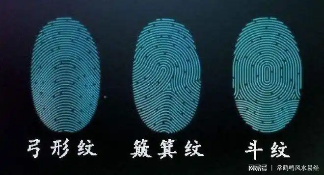 在易学的手相要诀中,这三种指纹又被称为:"君纹,臣纹,民纹",这意思就