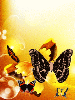 240_320竖版 竖屏gif 动态图 动图