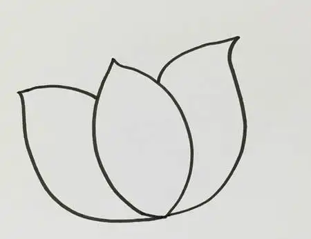 手绘荷花简笔画怎么画呢