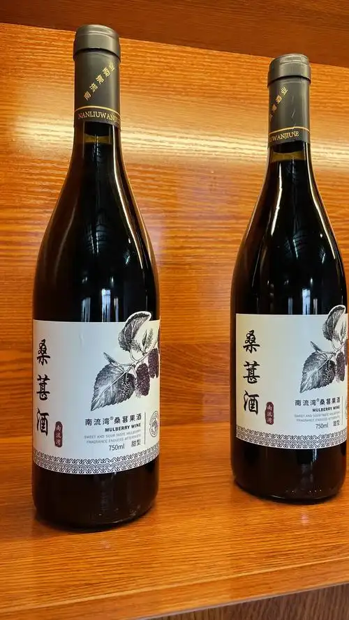 南流湾桑葚酒新品发布招商会圆满成功