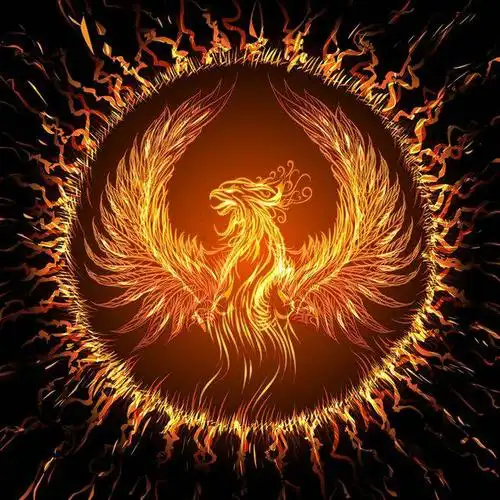 十五,凤凰——百鸟之王美丽吉祥