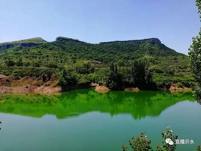 「旅游信息」沂水这个村美成一幅画,刚刚入选省级美丽休闲乡村