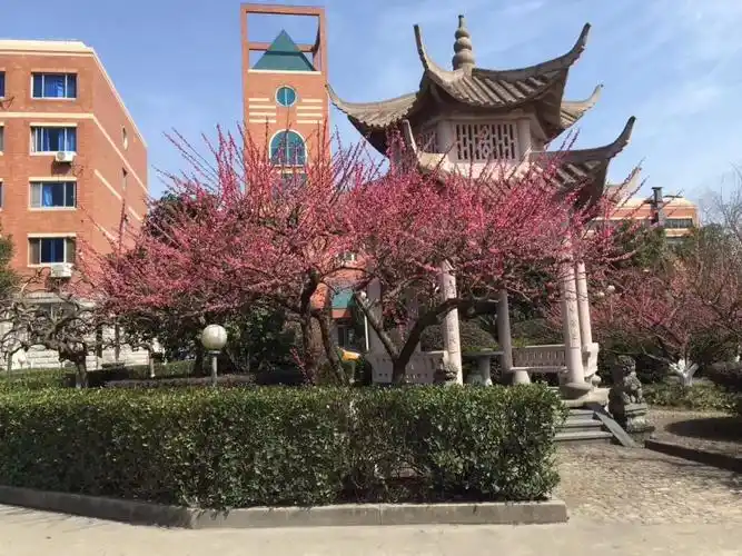 温岭市温中双语学校