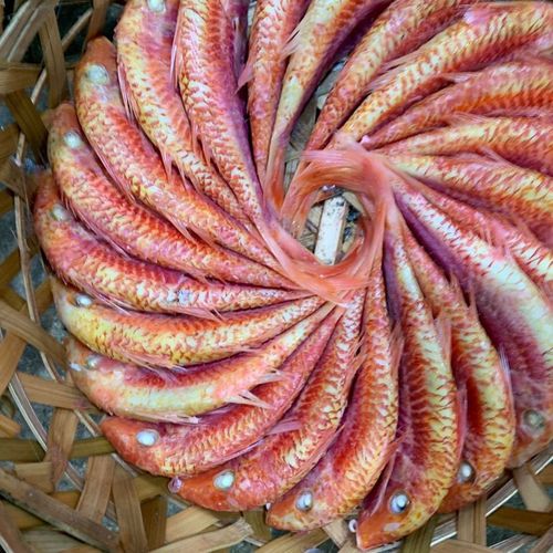 潮汕特产 鱼饭熟食红鱼 500 野生海捕红糟鱼 新鲜即食小红鱼 真包装