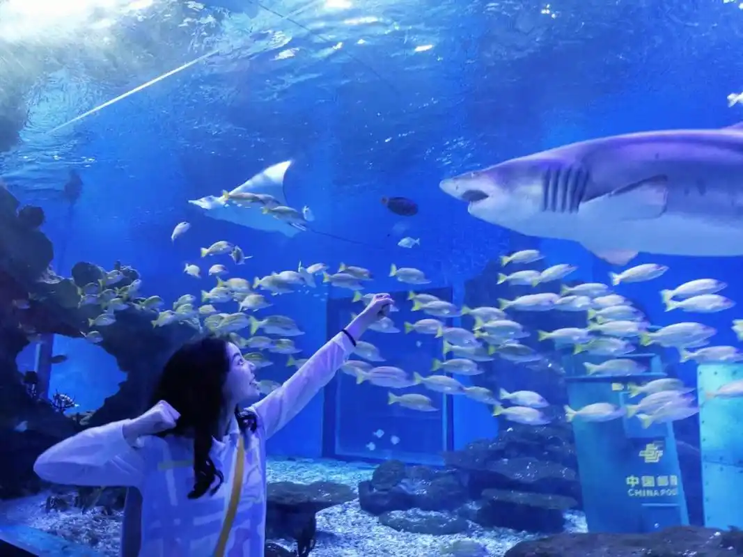 武汉海昌极地海洋公园保姆级游玩攻略,带孩子,带朋友