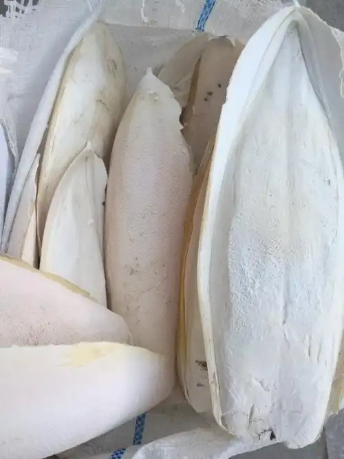 批发 宠物鸟食 墨鱼骨 袋装 海螵蛸 乌贼骨 量大从优