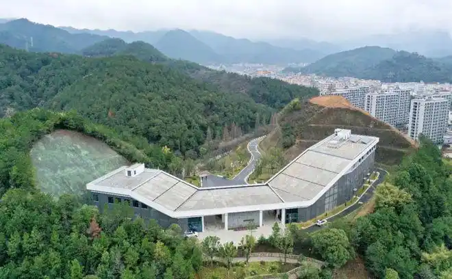 "妇女能顶半边天",这句话从大杭州这个村走向全国|红色杭州历|千鹤