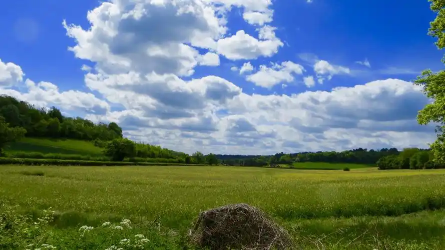 蓝天下的原野风景高清原图下载,蓝天下的原野风景,高清图片,壁纸,自然