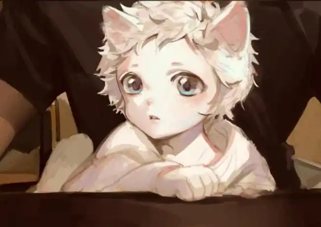 小天老师的猫咪转拟人萌你一脸血23ω23