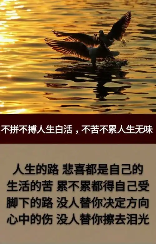 人生:一天很短,一年很短,一生很短,但这一生,很累,很苦!