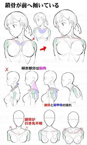 零基础学画画绘|肩膀总是画的不顺溜,来看这组实用的绘画教程吧