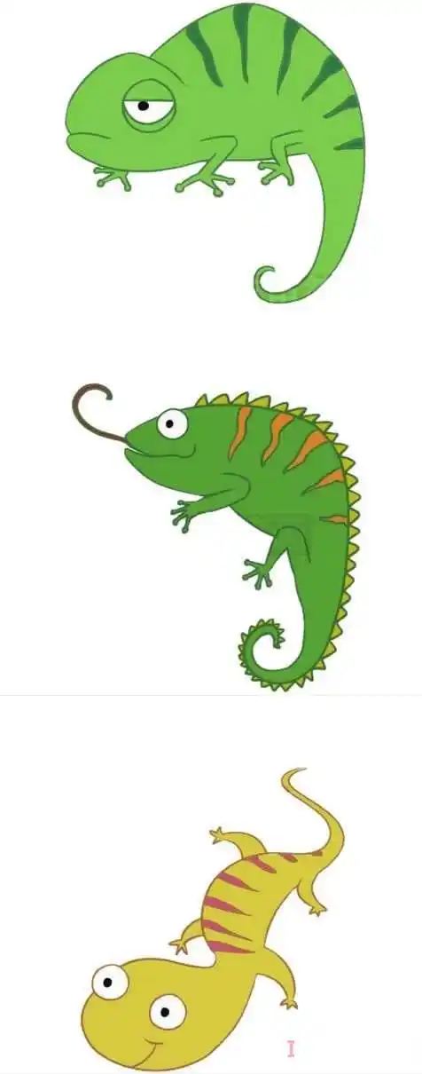 蜥蜴简笔画 蜥蜴简笔画图片大全可爱