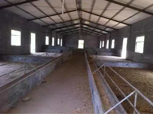 养羊需要多大场地?以100只羊计算和设计附图