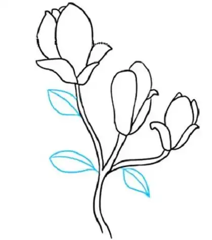 儿童简笔画,植物简笔画,玉兰花简笔画,简笔画教程,简笔画图片