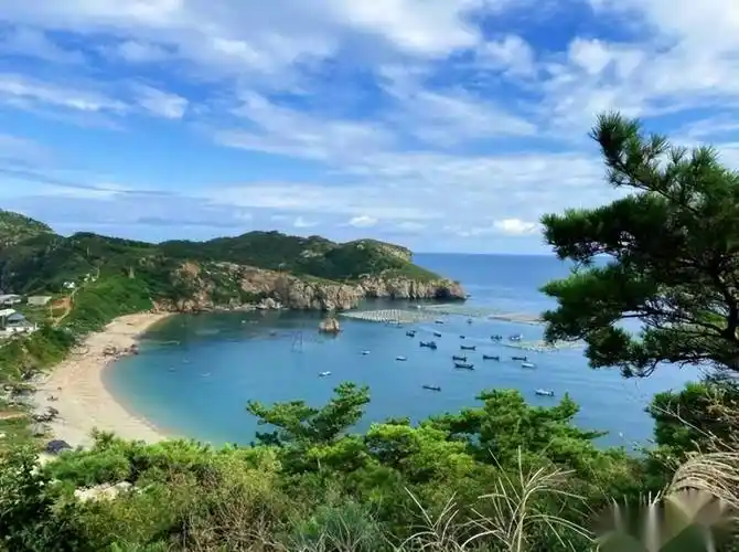 夏季大连3日游线路规划,大连自由行三日游攻略_旅游_金石_度假区