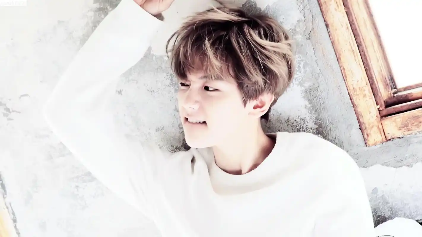 exo成员边伯贤可爱帅气电脑桌面壁纸下载2_日韩明星_壁纸下载_美桌网