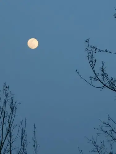 月圆的夜晚