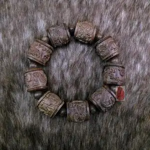 莫桑比克皮灰木