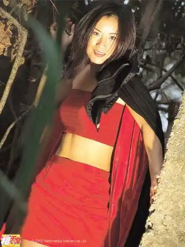 图文:香港著名女星张文慈(33)