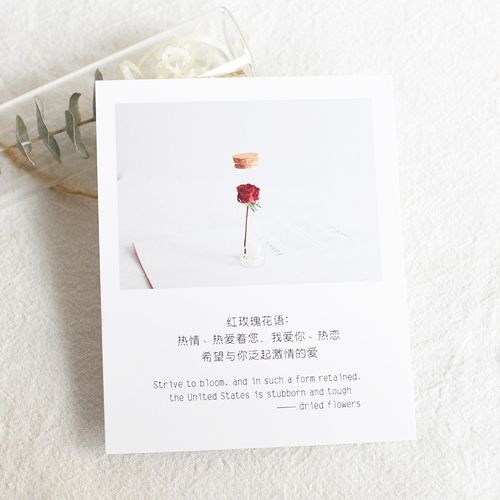 满天星康乃馨玫瑰花简约花语卡片情人节生日纪念日母亲节贺卡