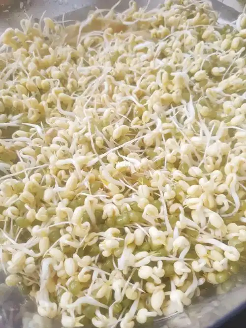 发豆芽短是怎么回事?