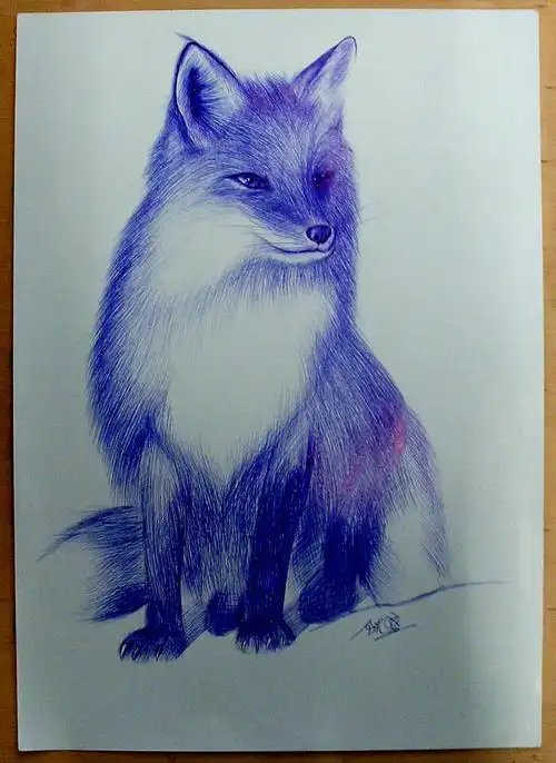 急求一张狐狸的素描!