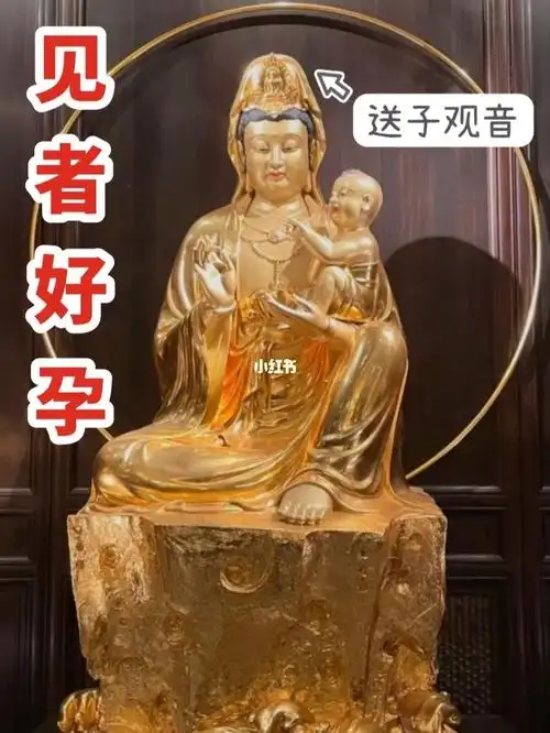 5月观音来送子多囊接了都好孕儿