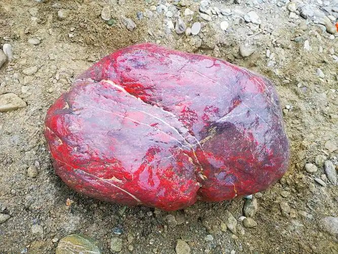 子尘(立群)的觅石记———汉江红石头