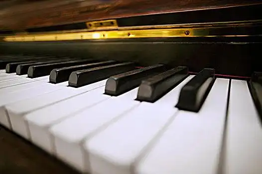 琴图片_琴图片大全_琴图片素材