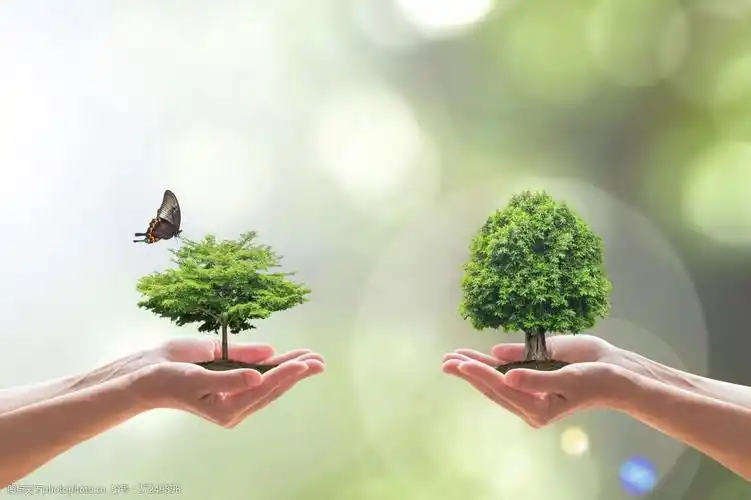 关键词:捧着幼苗的手高清 环境保护 呵护自然 手捧树苗 幼苗 爱心呵护