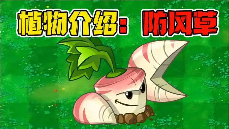 植物大战僵尸:防风草!是不是攻击力最强的植物呢?