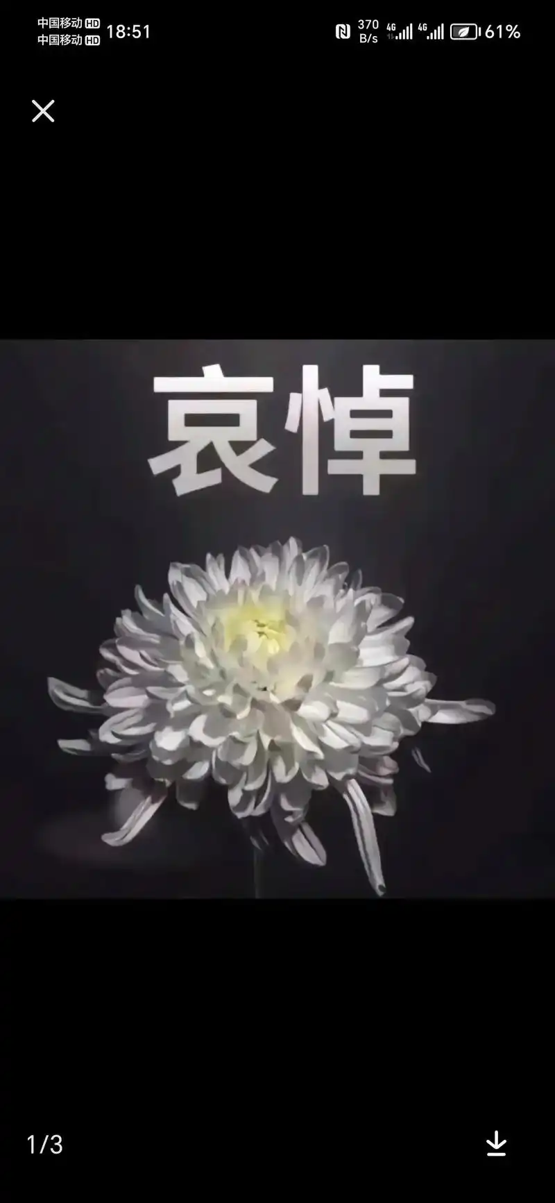 生命终有结束,只愿时光短暂,奶奶一路走好,来日无方长,此别再 - 抖音