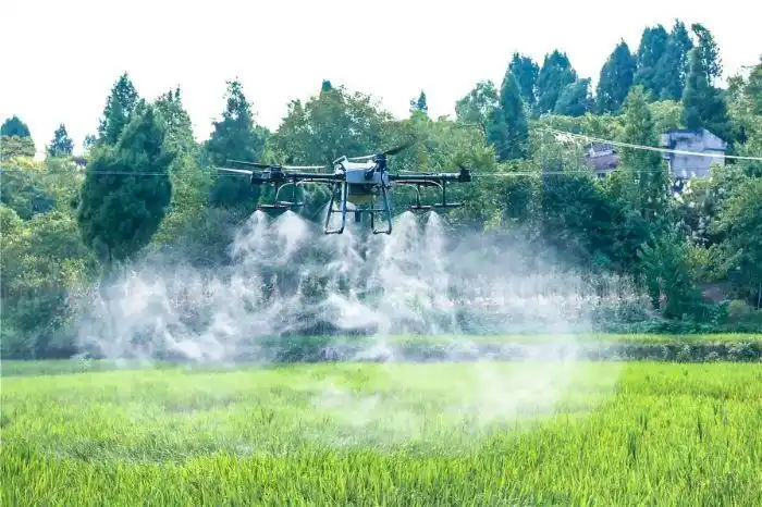 无人机施药作业.