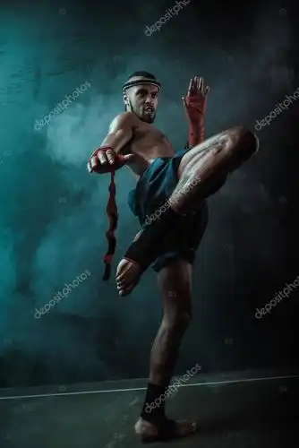 泰拳泰国战斗机