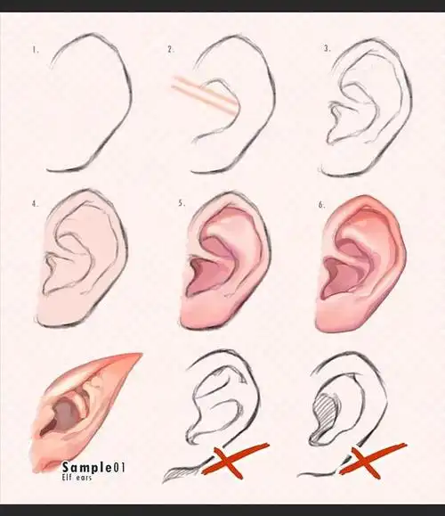 耳朵绘画教程