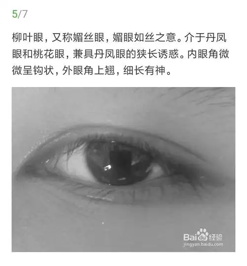 哈哈哈哈哈我找到了 是柳叶眼