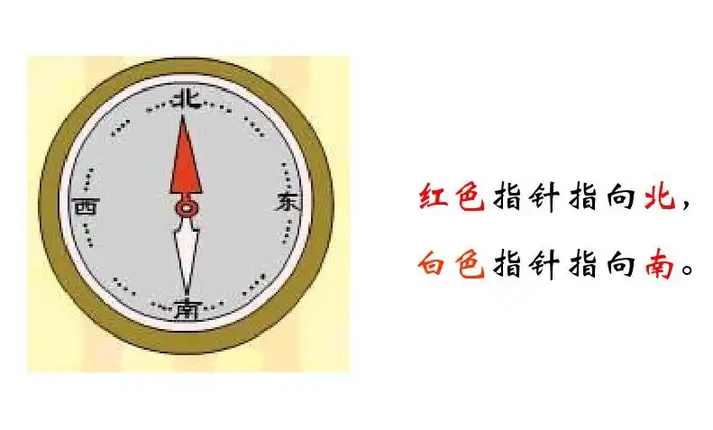【绿小·二数】我们愿做一群辨方向的春鸟——认识东西南北