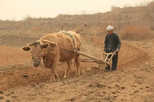2013年清明节,回河北赞皇老家拍摄的山乡春色.