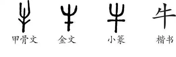 牛的字义,字形演变,小篆隶书楷书
