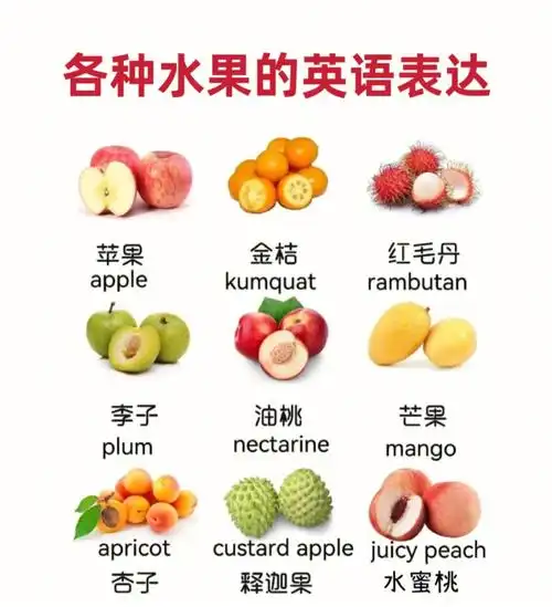day155各种水果的英语表达