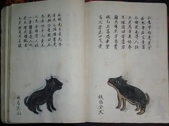 古籍《相犬大全》全本,上百种各色田园,让你大开眼界!