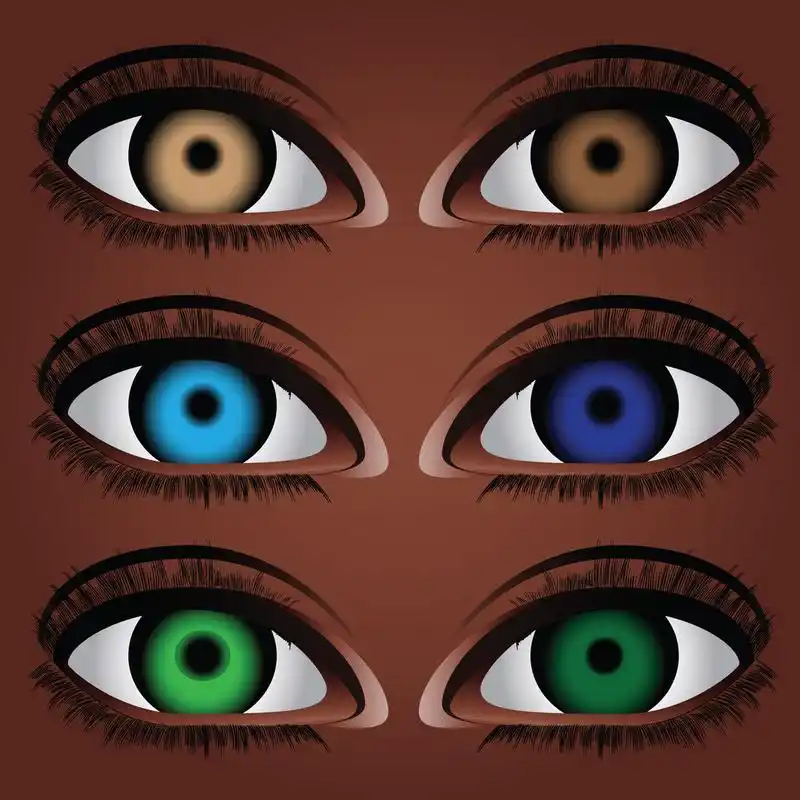 变种人眼,人眼瞳孔的不同颜色的变种.矢量图.