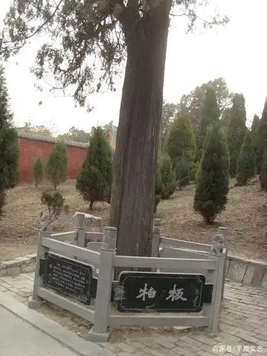 财神妈祖:家国情怀世人敬仰