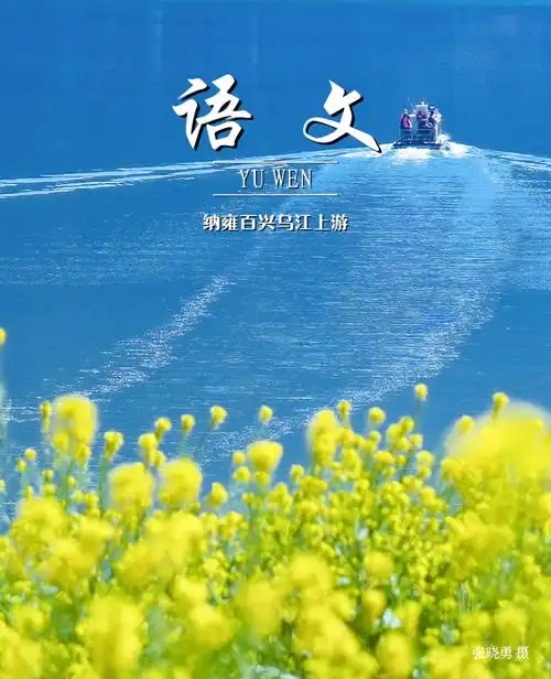 来了属于毕节的语文课本封面