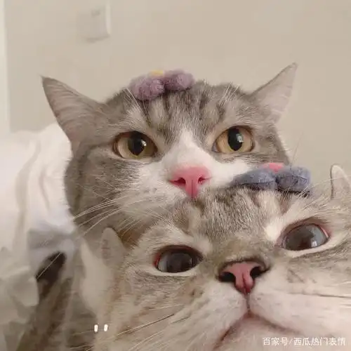 今日份闺蜜头像,就是这么喜欢你