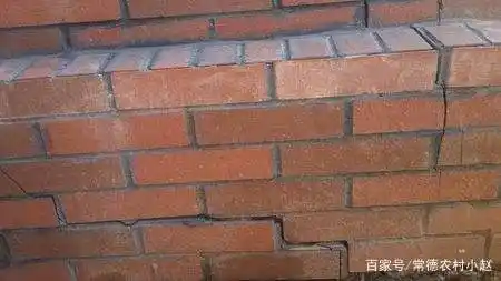 砖墙- 热门商品专区