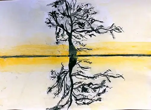 美术作业:倒影画