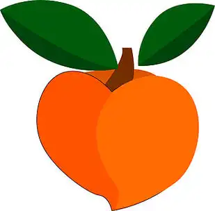 橙色,矢量,彩绘或插图的小而甜的桃子.