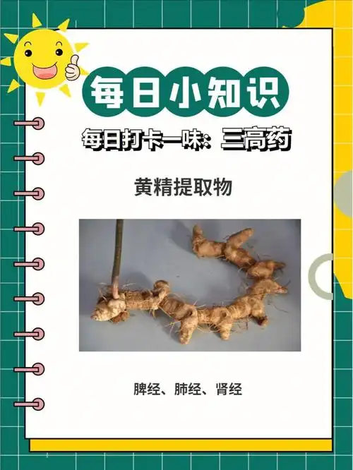 黄精和鹿肉一起吃:可强身健体,补肾壮阳91其它功效黄精具有抗缺氧